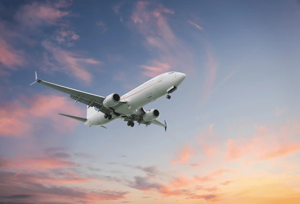 Couple in airport walkway